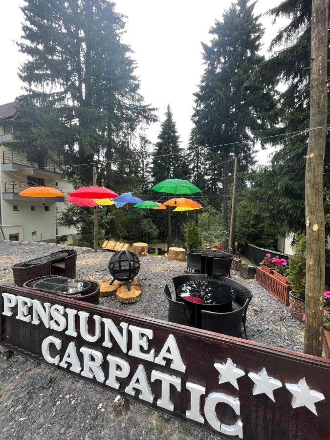 Carpatic Hotel Predeal Bagian luar foto